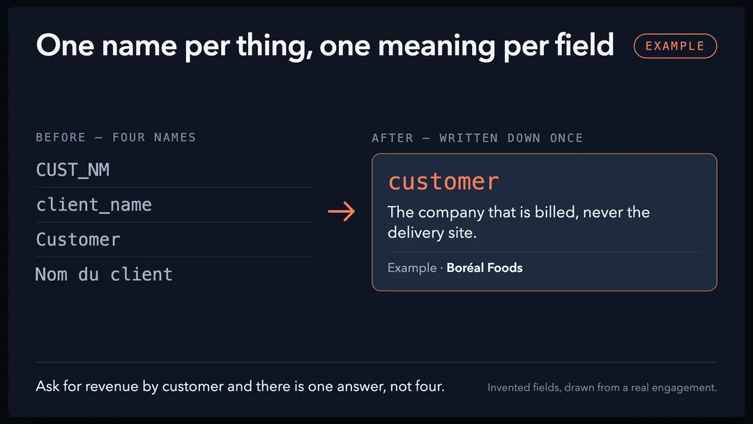 The same customer field under five different names on the left, and on the right a written dictionary giving each field one meaning and one example.